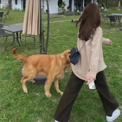 俺不是贫困户